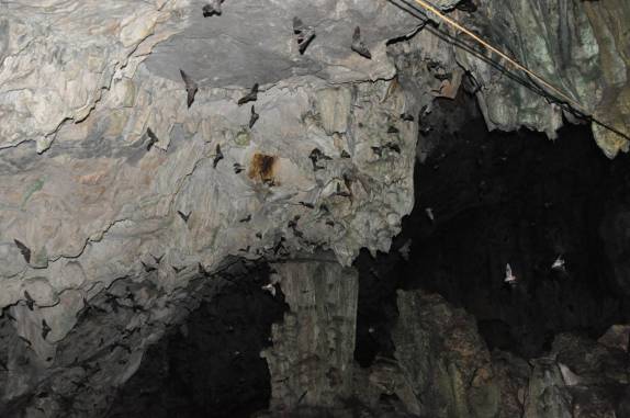Milhares de morcegos saem da Caverna de Lanquin, na região de Semuc Champey, na Guatemala, para se alimentar durante a noite
